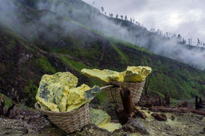 Ijen Basecamp & Homestay Ketapang  المظهر الخارجي الصورة